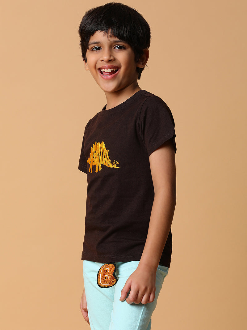 Boys Brown Embroidery Cotton T-shirt