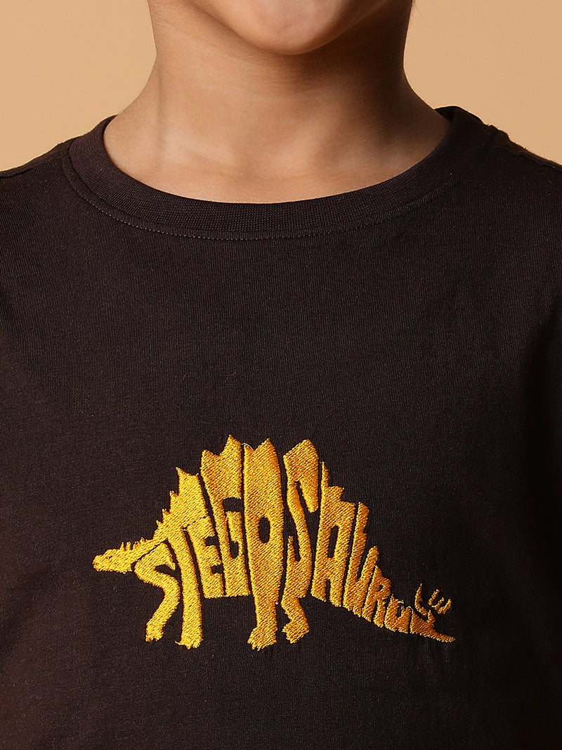 Boys Brown Embroidery Cotton T-shirt