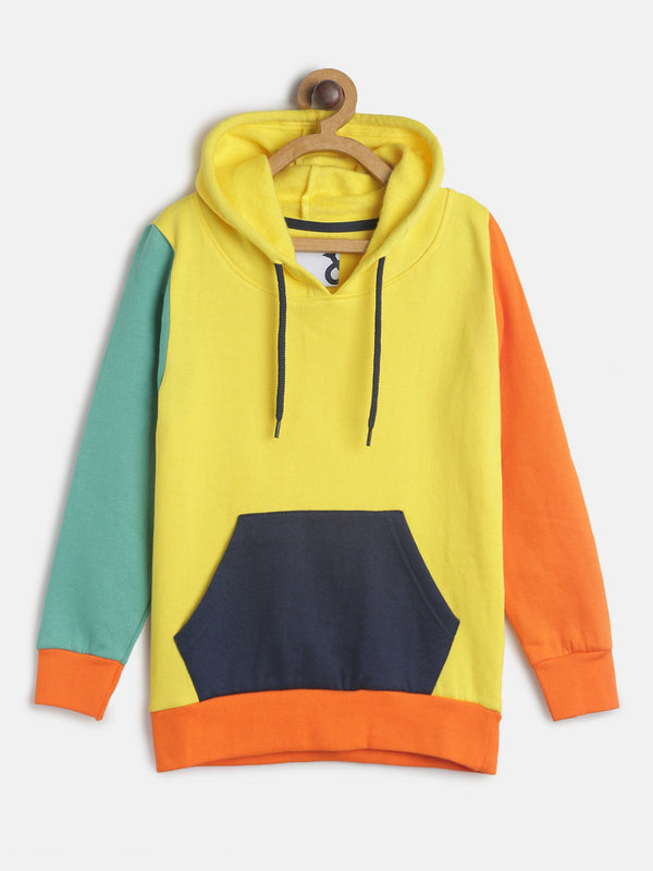 Boys Multi Color Regular Fit Casual Sweatshirt with hood